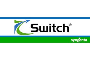 Fungicid Switch 62.5WG 10Kg