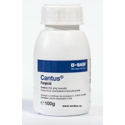 Cantus - 100 gr